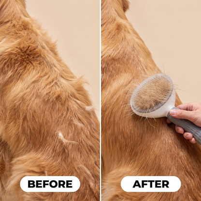 Brushie™ Self-Cleaning Pet Brush – Groom in Seconds!
